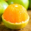 Cam xoàn loại 1, trồng tự nhiên
